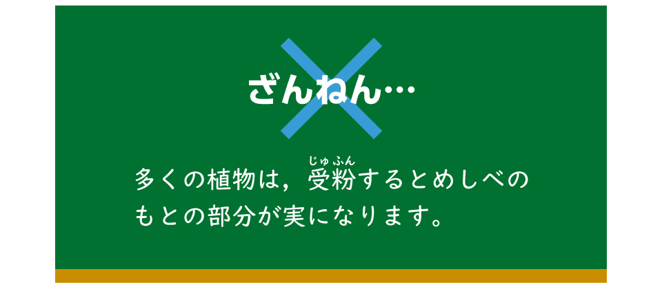 ×　残念！